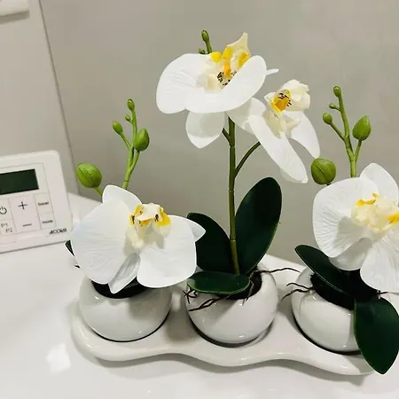 Semesterbostad Climatisee Avec Piscine Partagee , Terrasse Et Parking