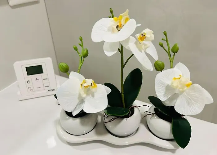 Prázdninový dům Climatisee Avec Piscine Partagee , Terrasse Et Parking